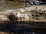 Riverside Geyser