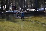 Cross Tenaya Creek on the Sunrise Trail