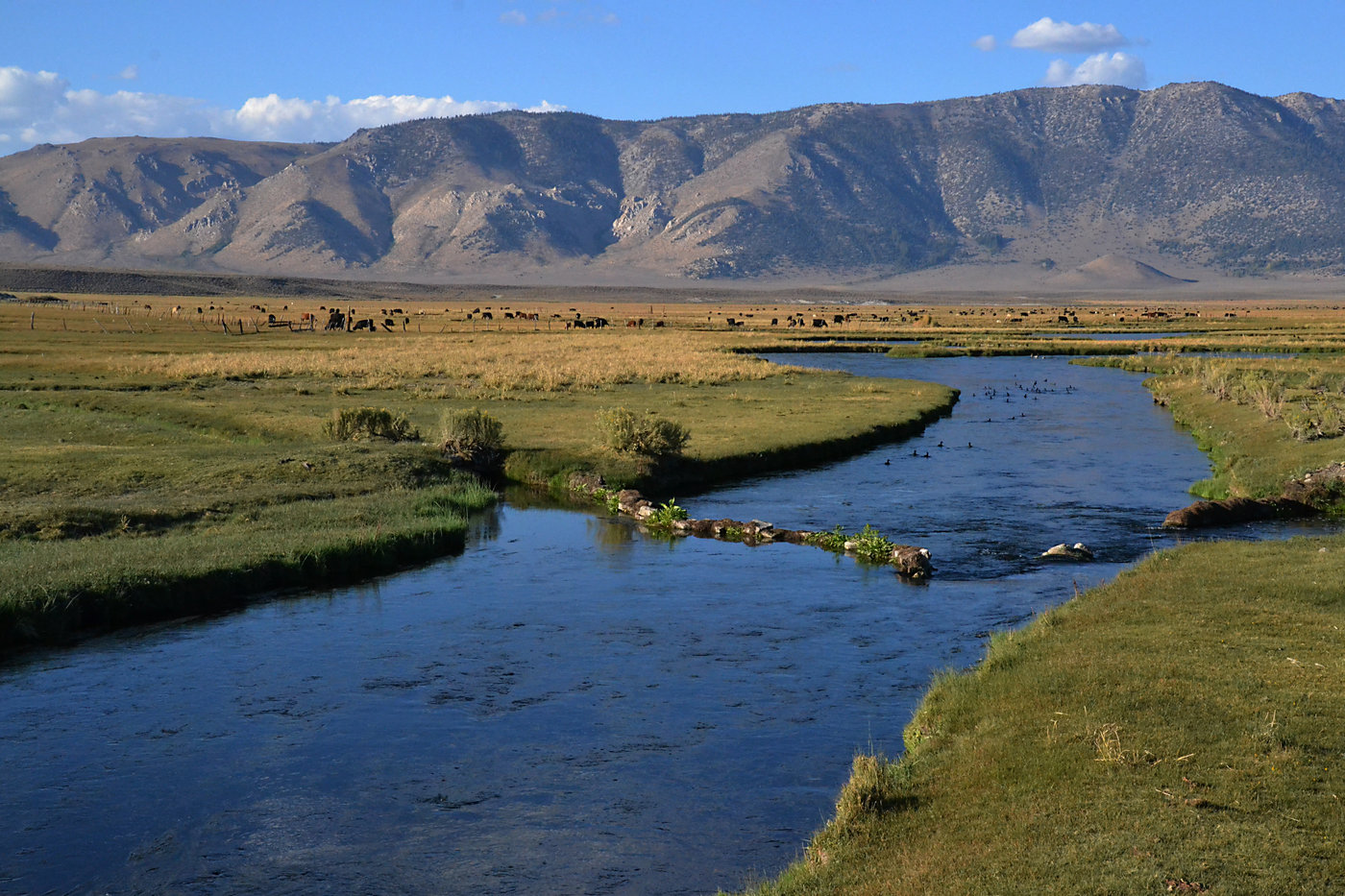 Mammoth Creek below the Hot Creek geothermal area