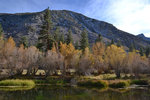 Trout Pond at Glacier Lodge