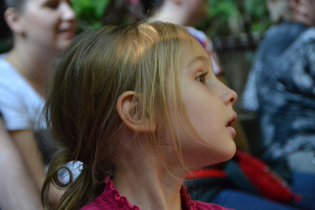 Ella on the Jungle Cruise