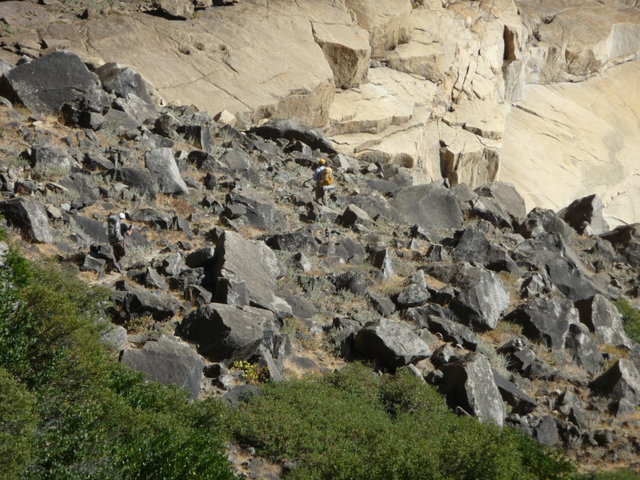 P1010595
