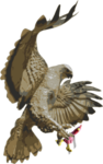 Chick-on vs. Hawk