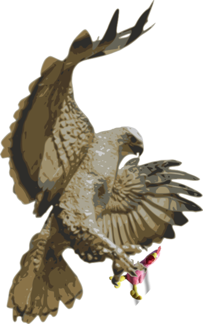 Chick-on vs. Hawk