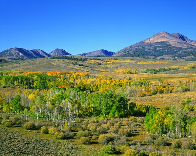 Fall Color on the Road to Bridgeport