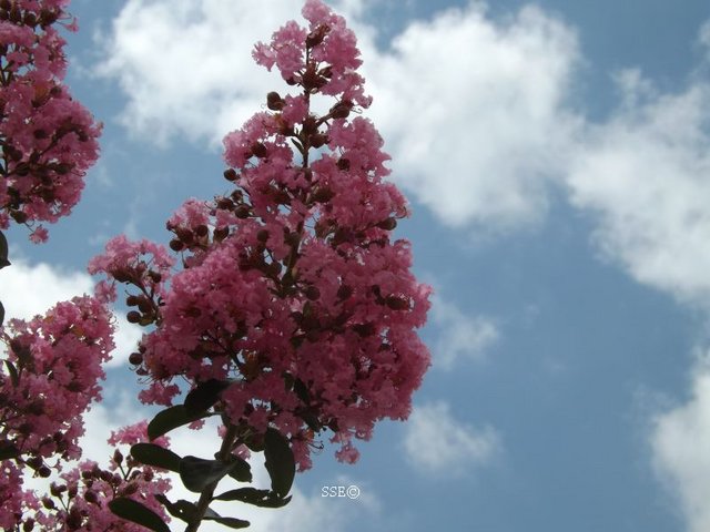 002resize