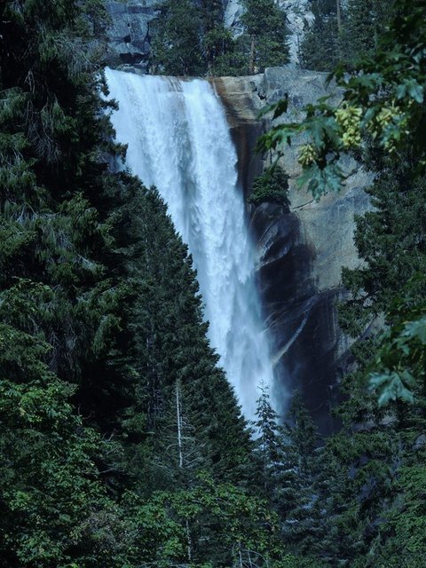 Vernal