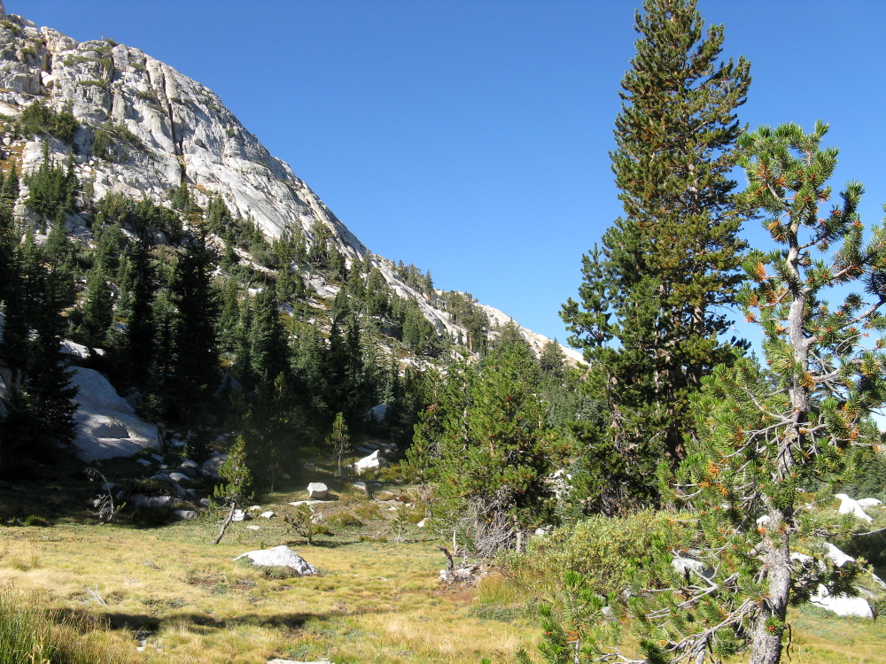 Yosemite 2013 081