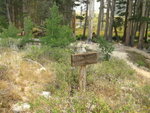Yosemite 2013 257