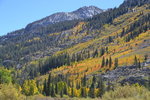 Fall color 2013 near South Lake