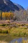 Lundy Canyon