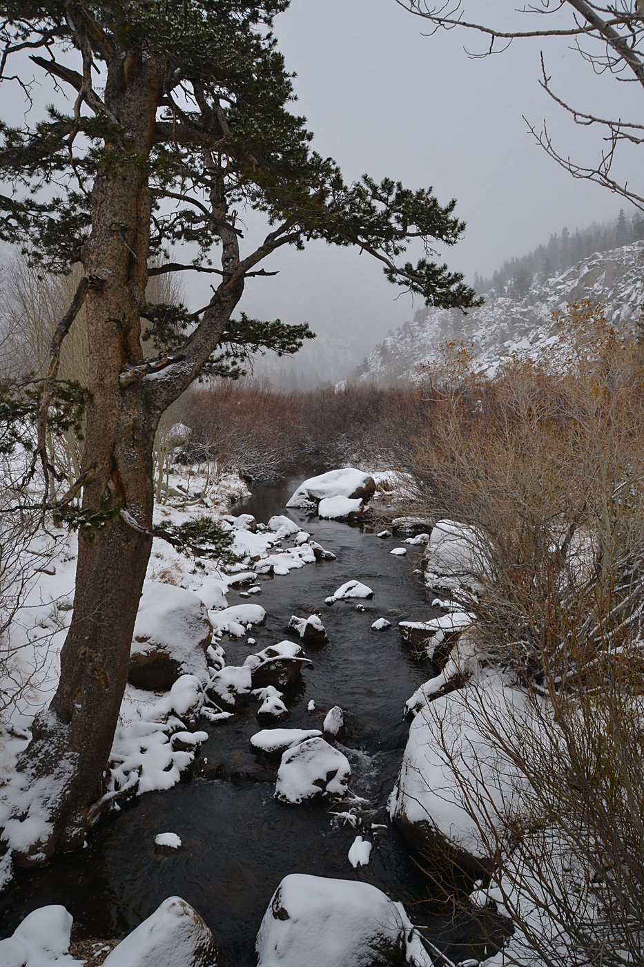 South Fork, Bishop Creek during snow storm