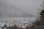 "Lake" Sabrina with falling snow