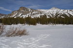 Mt. Dana from Tioga Pass