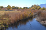 Lower Owens River