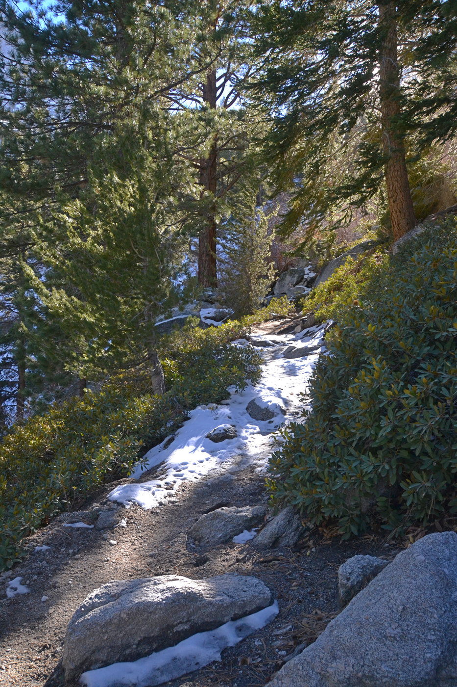 Whitney Trail with snow and ice