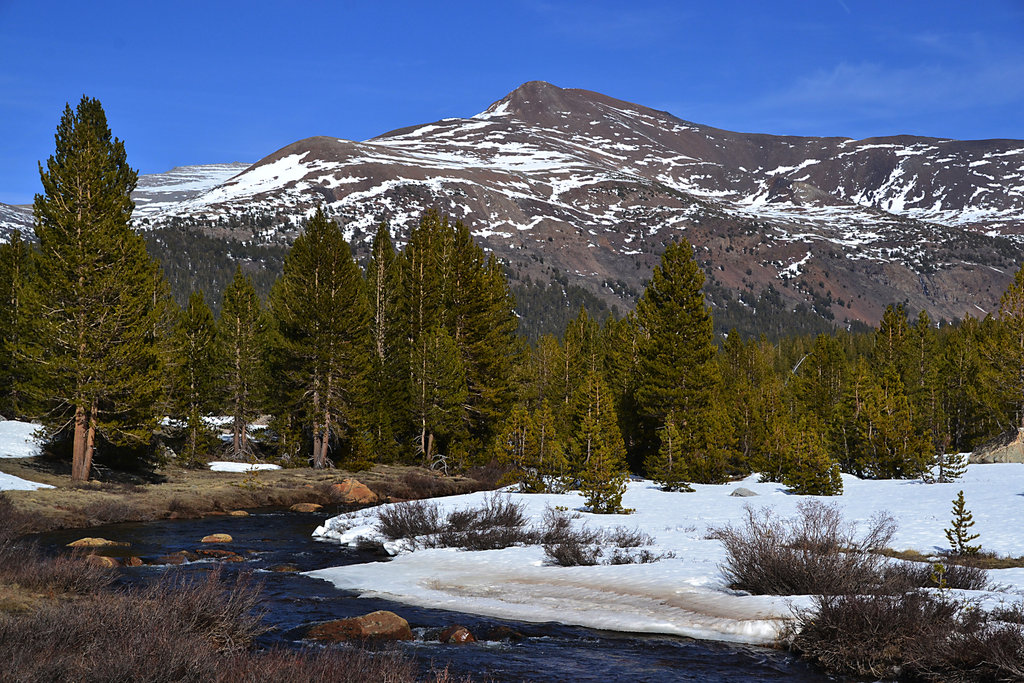 Mount Gibbs and the Dana Fork of the Tuolumne River