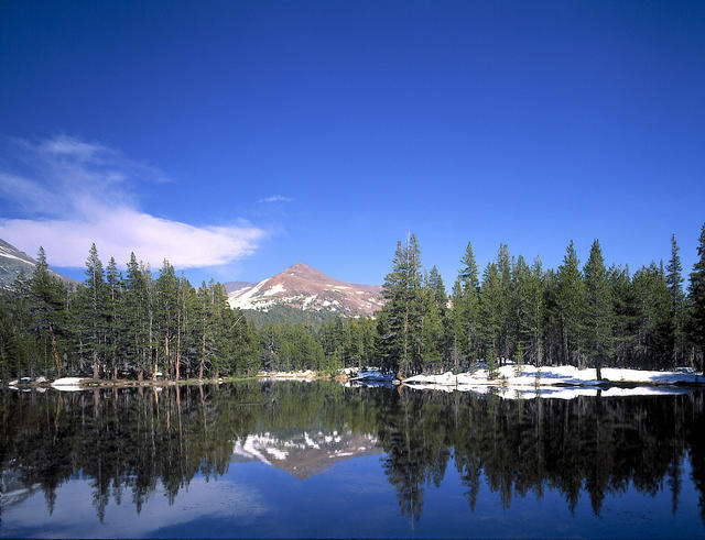 Tarn Near Tioga Pass