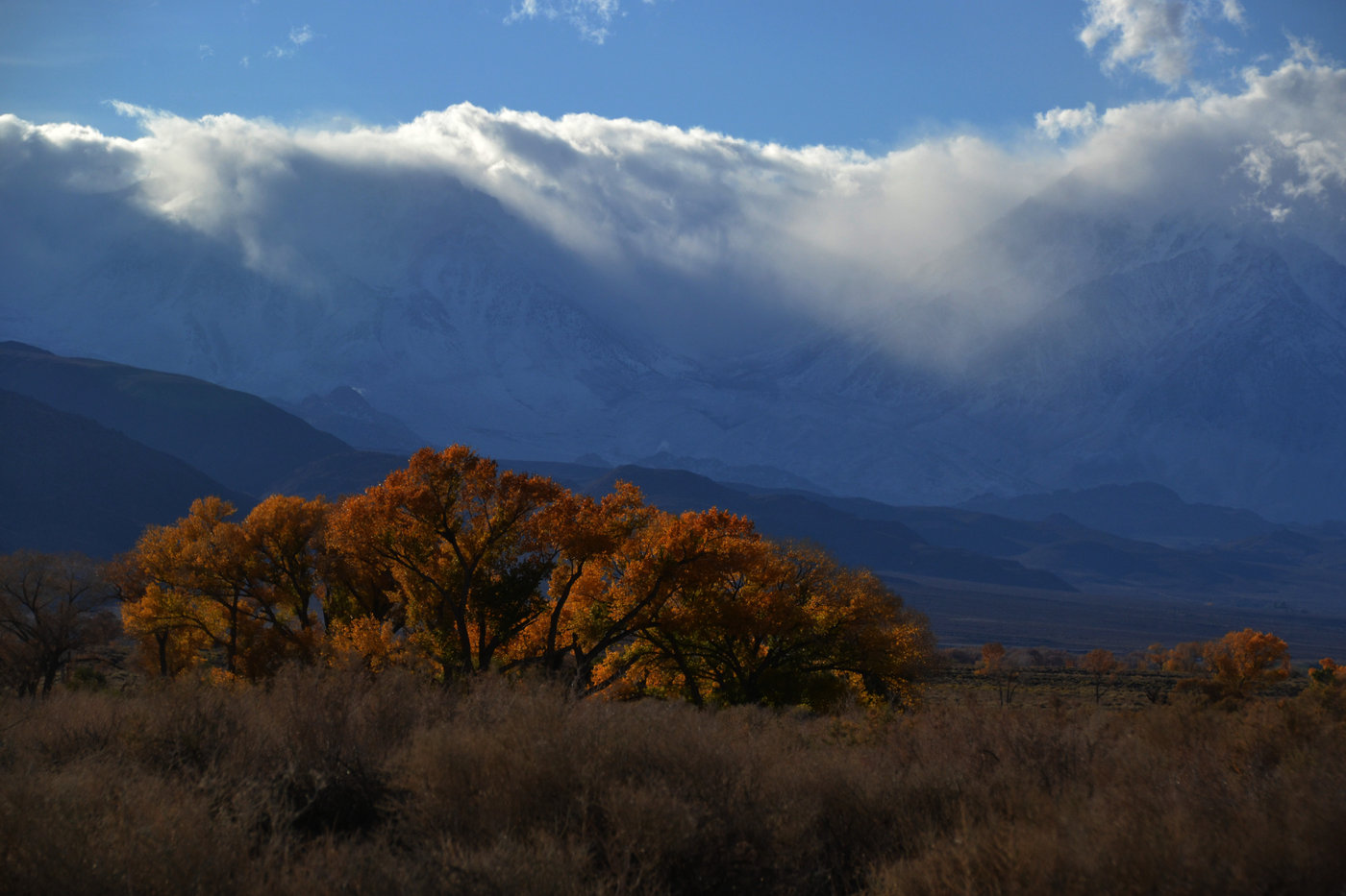 Storm over the Sierra