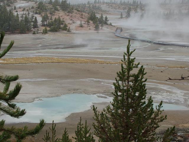 Norris Geyser Basin