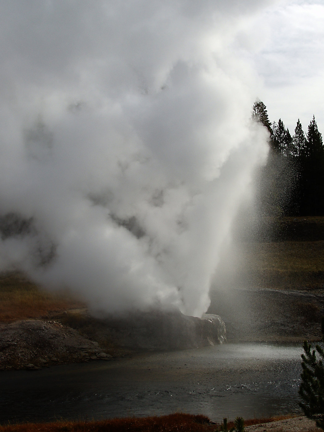 Riverside Geyser