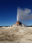 White Cone Geyser