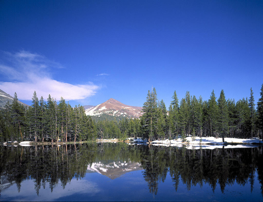 Tarn Near Tioga Pass