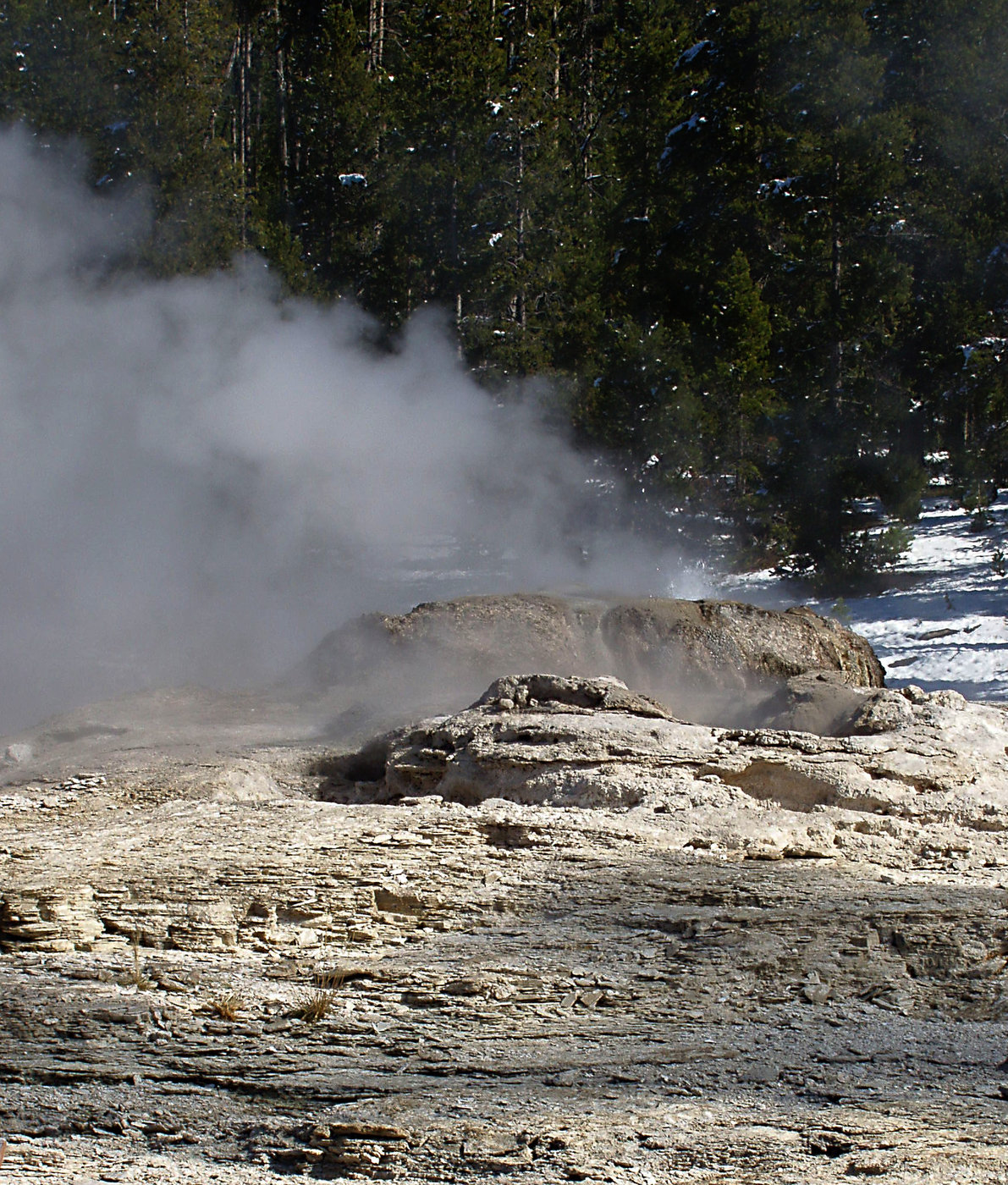 Catfish Geyser