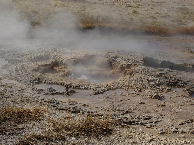 Shell Geyser