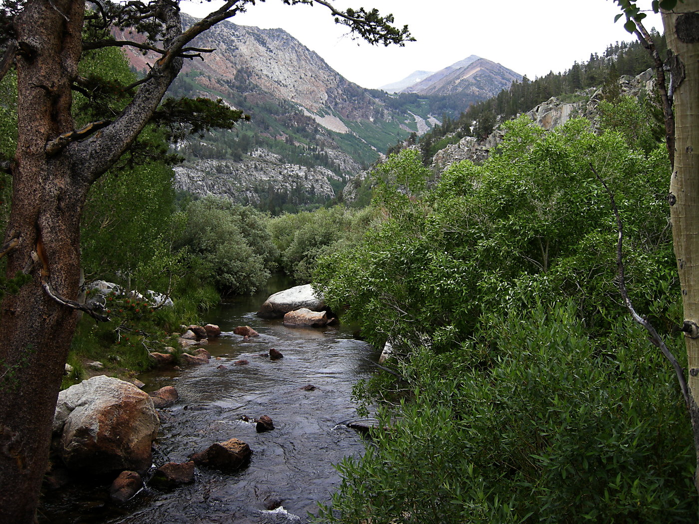 South Fork of Bishop Creek