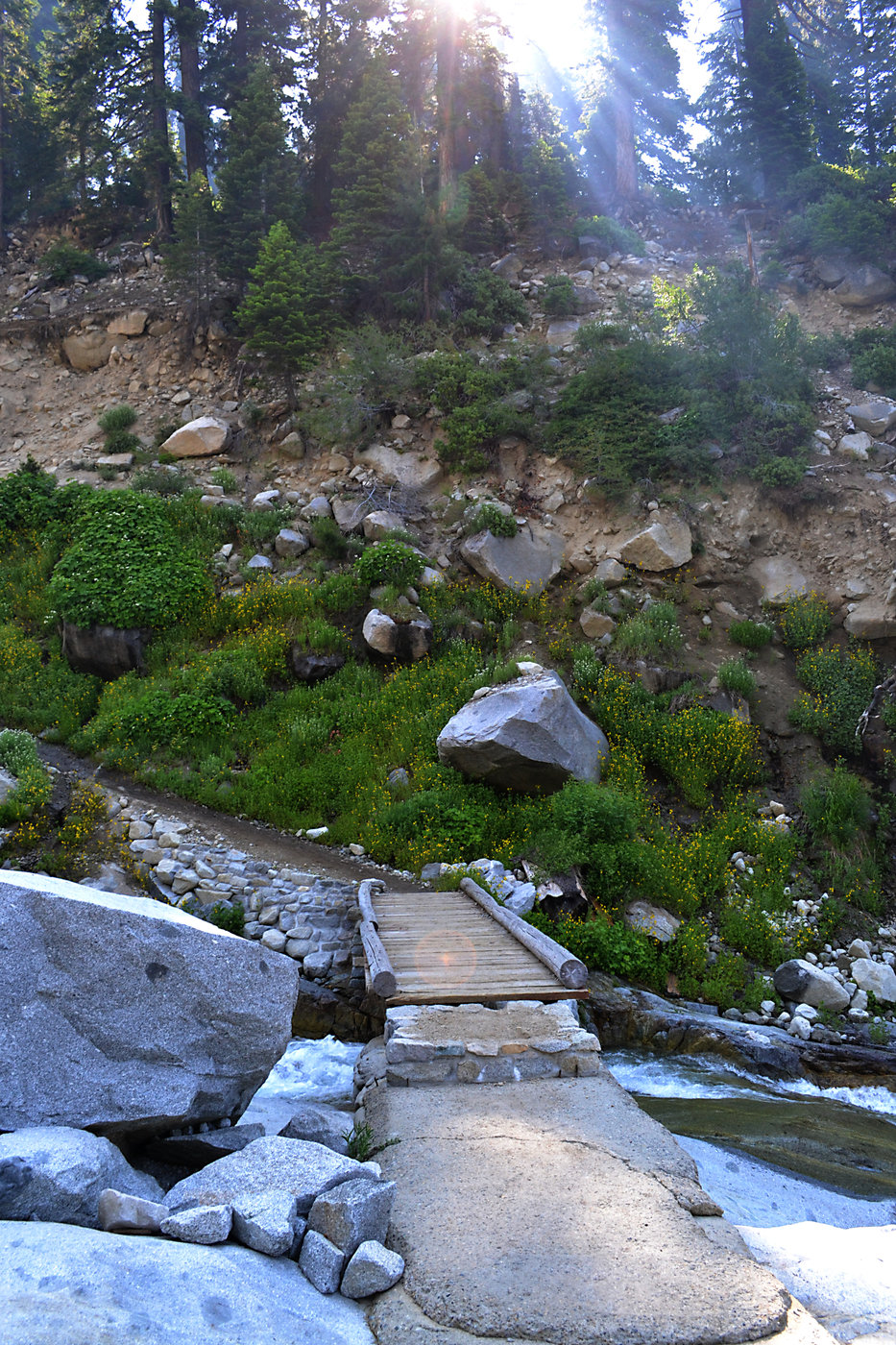 Bridge over Buck Creek