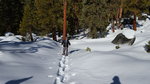20160207_093110