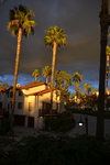 Sunset on Palm Trees