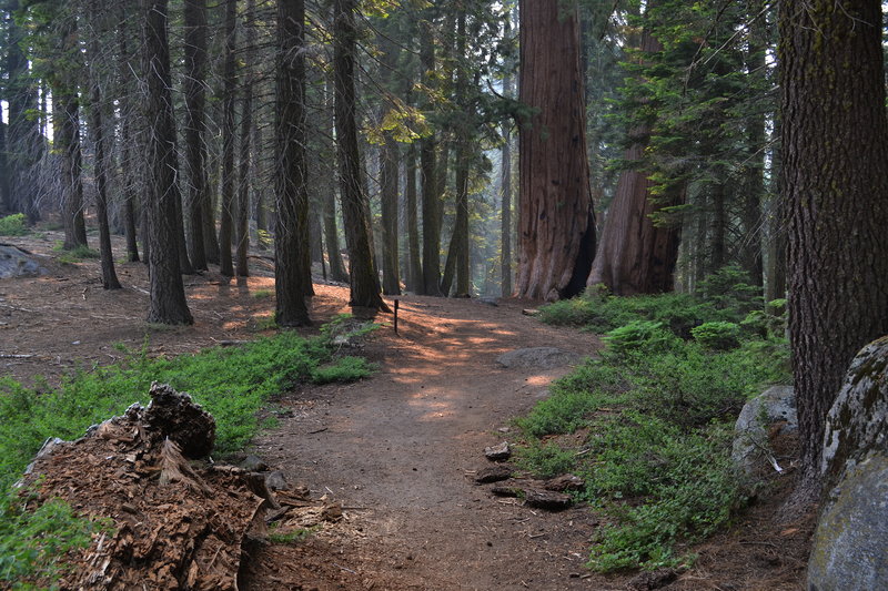 Almost back to Crescent Meadow