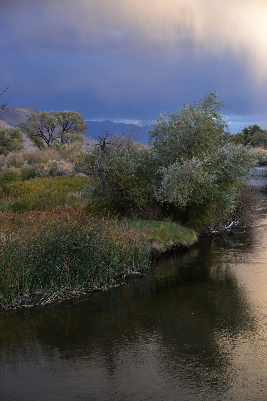 Owens River