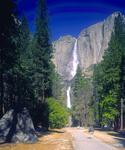 Along the Trail to Lower Yosemite Falls