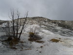 Mammoth Hot Springs
