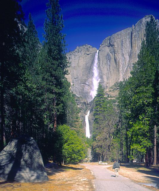 Along the Trail to Lower Yosemite Falls