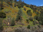 Yosemite Railroad abandoned right of way