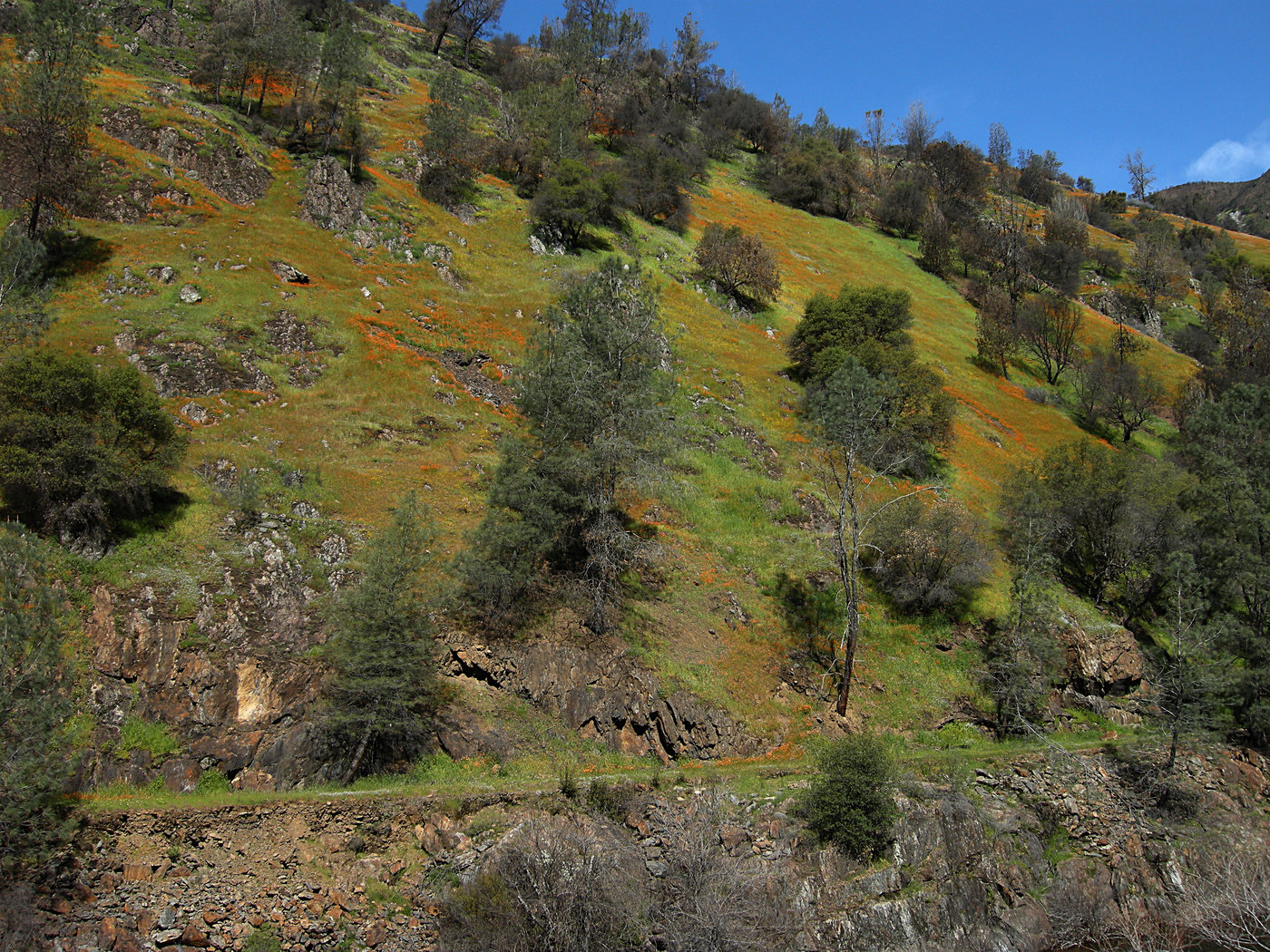 Yosemite Railroad abandoned right of way