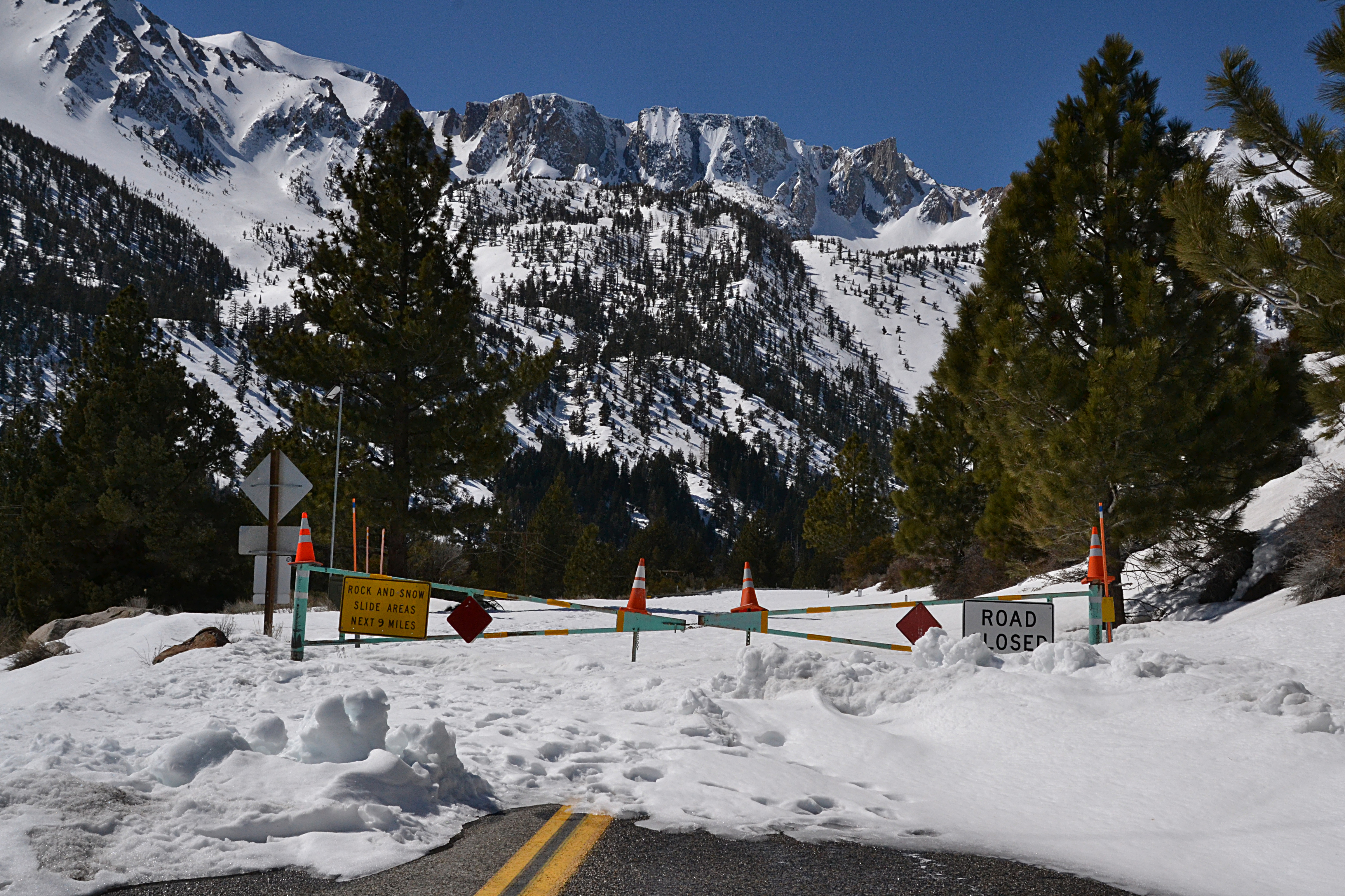 Tioga Road isn't open yet