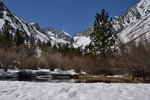 Trout pond at Glacier Lodge