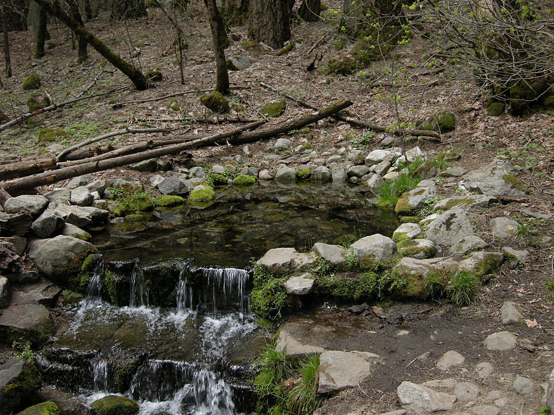 Fern Spring, Yosemite Valley