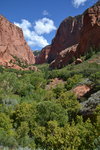 Kolob (Zion National Park)