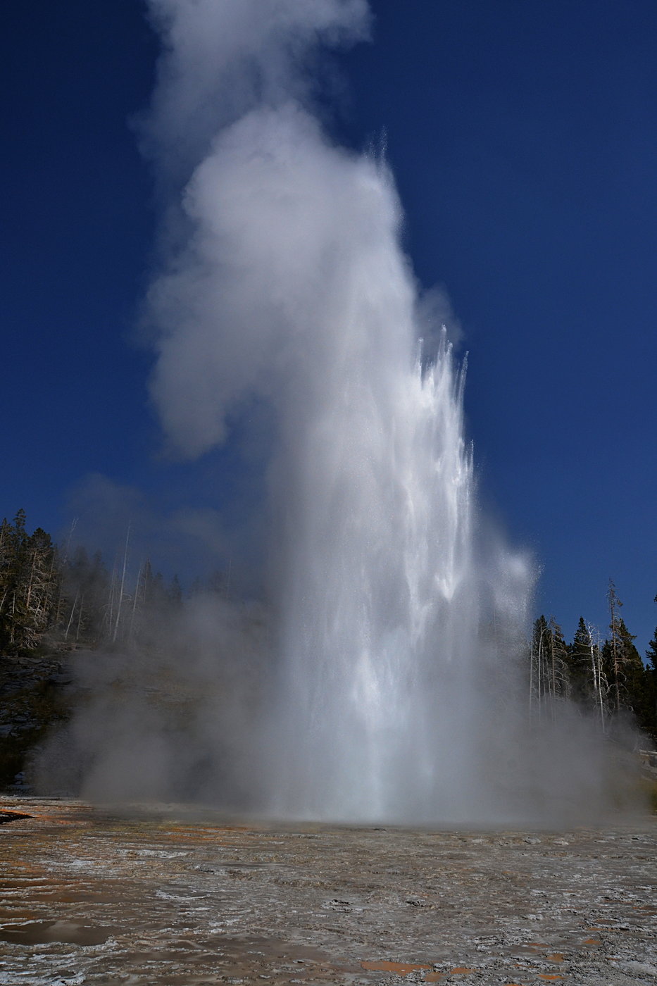 Grand Geyer Erupting