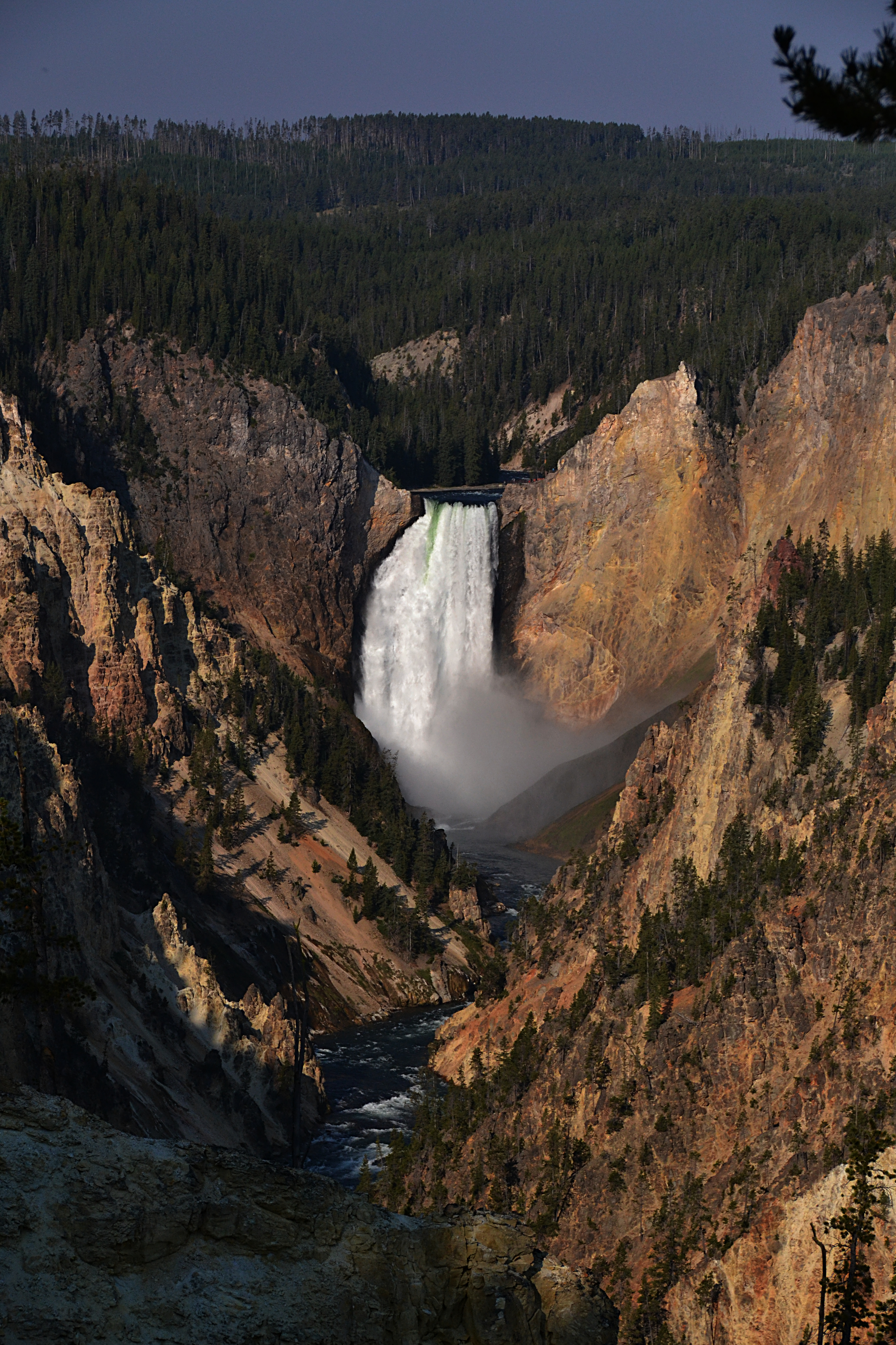 Lower Yellowstone Falls