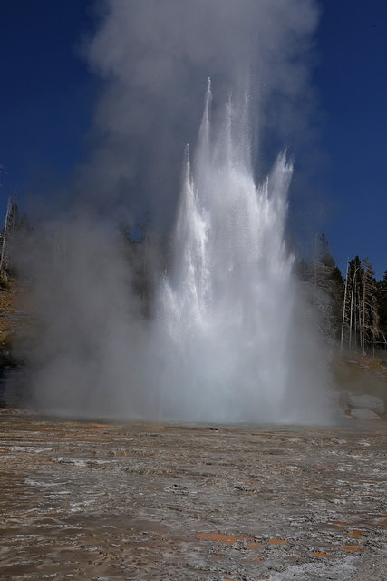 Grand Geyser