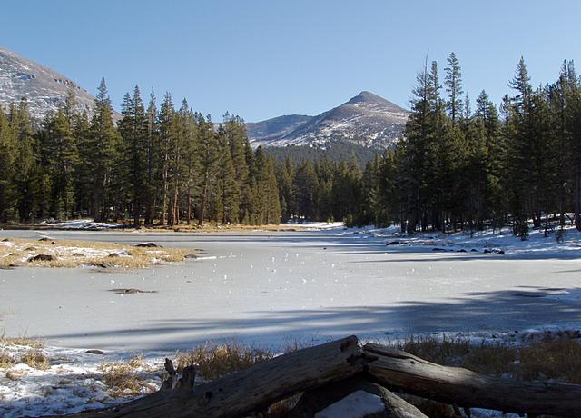 Frozen Tarn Near Tioga Pass