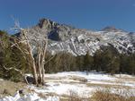 Mount Dana from Tioga Pass