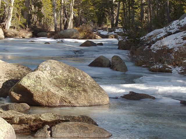 Dana Fork on the Tuolumne River